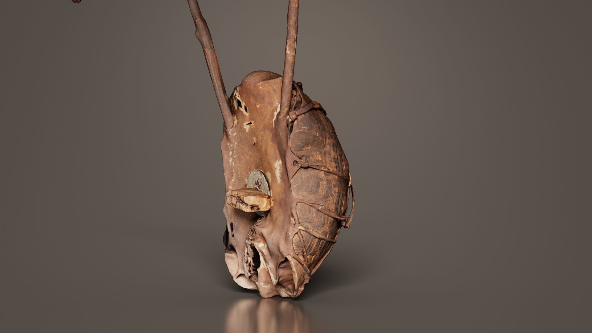 Turtle Guitar Low-poly 3D model_2