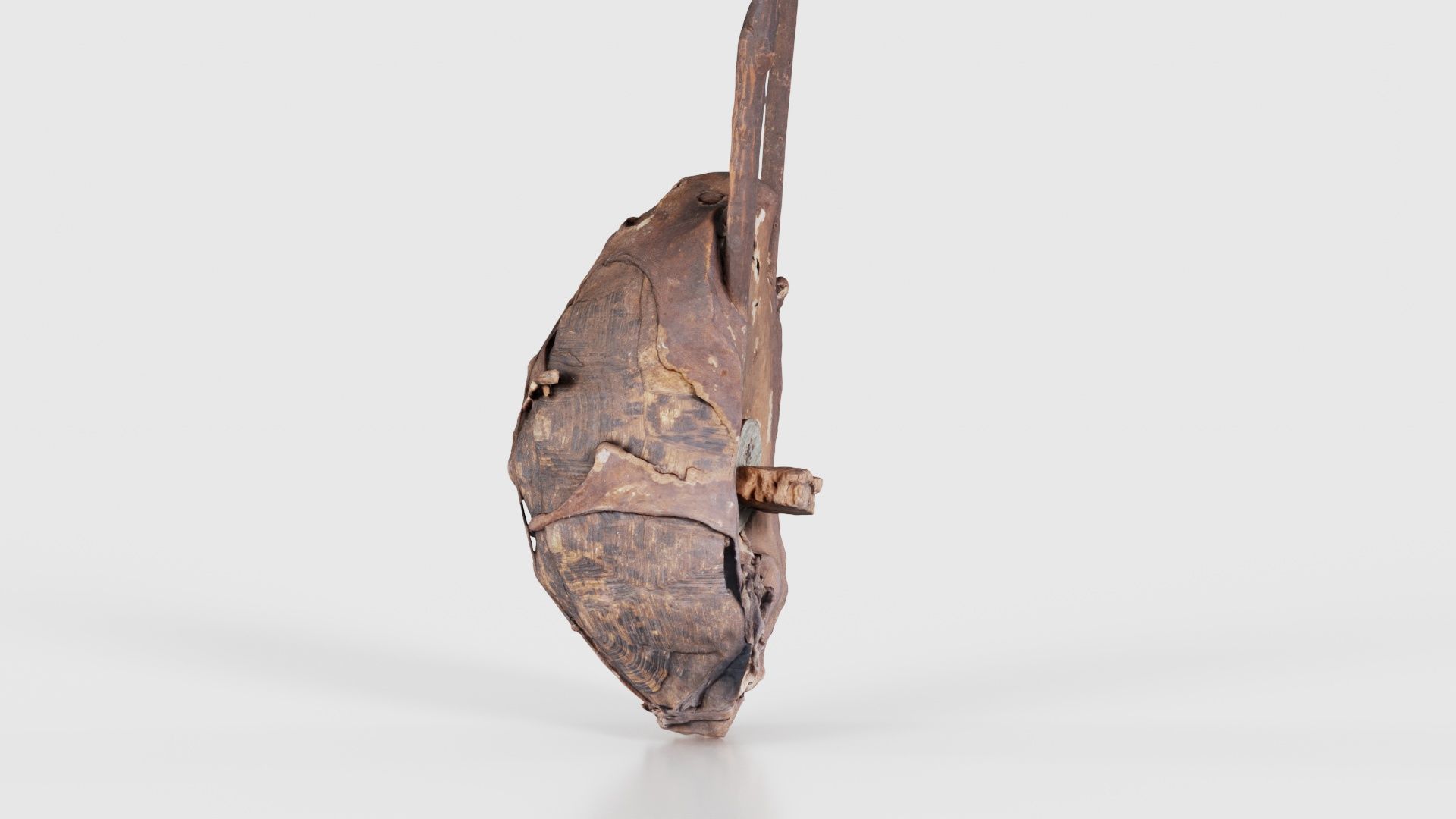 Turtle Guitar Low-poly 3D model_24