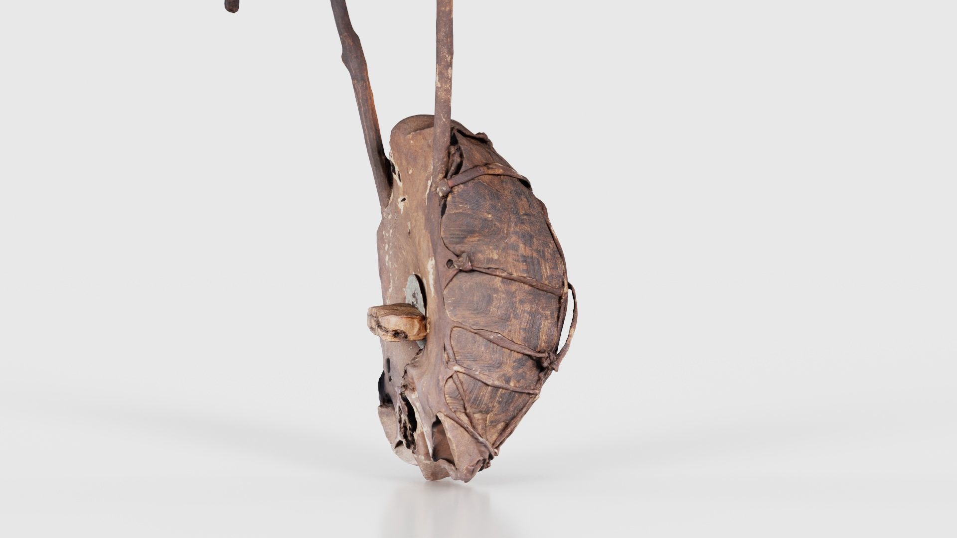 Turtle Guitar Low-poly 3D model_19