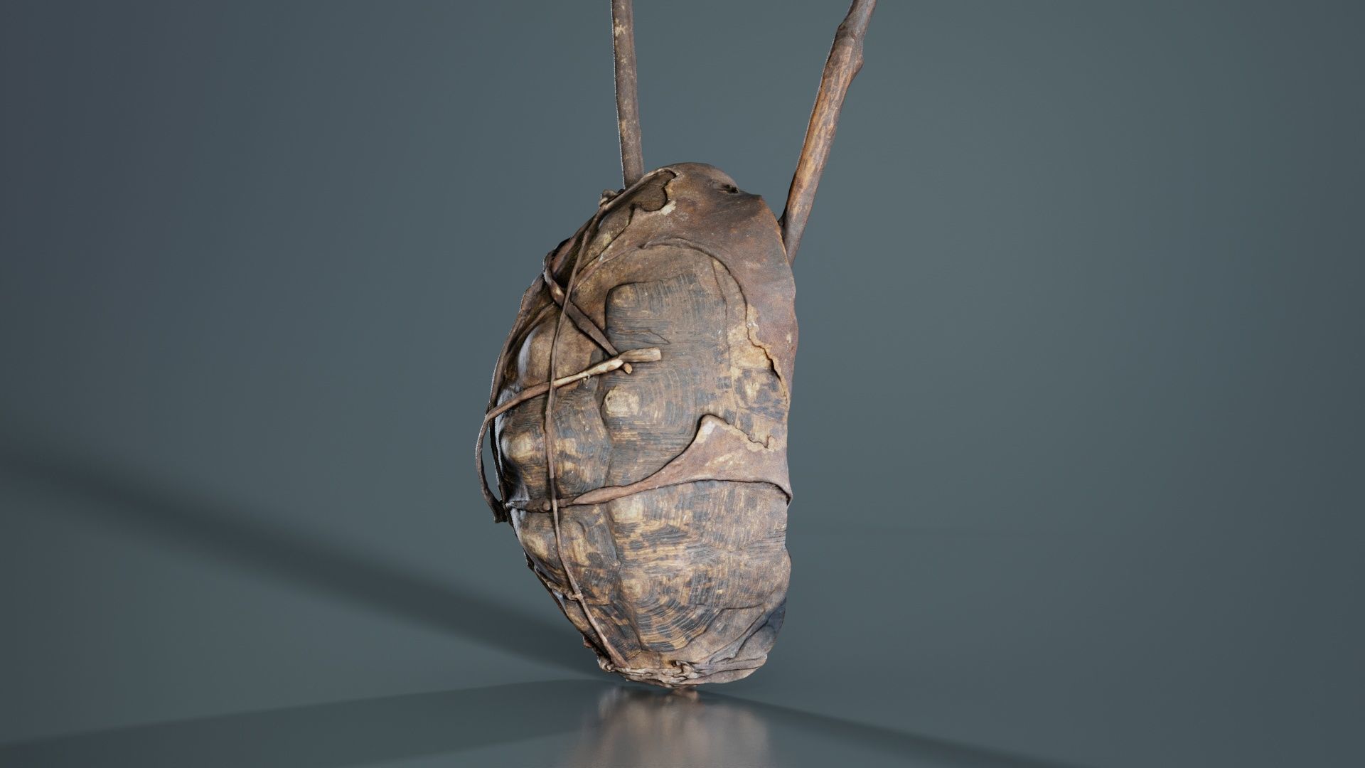 Turtle Guitar Low-poly 3D model_4