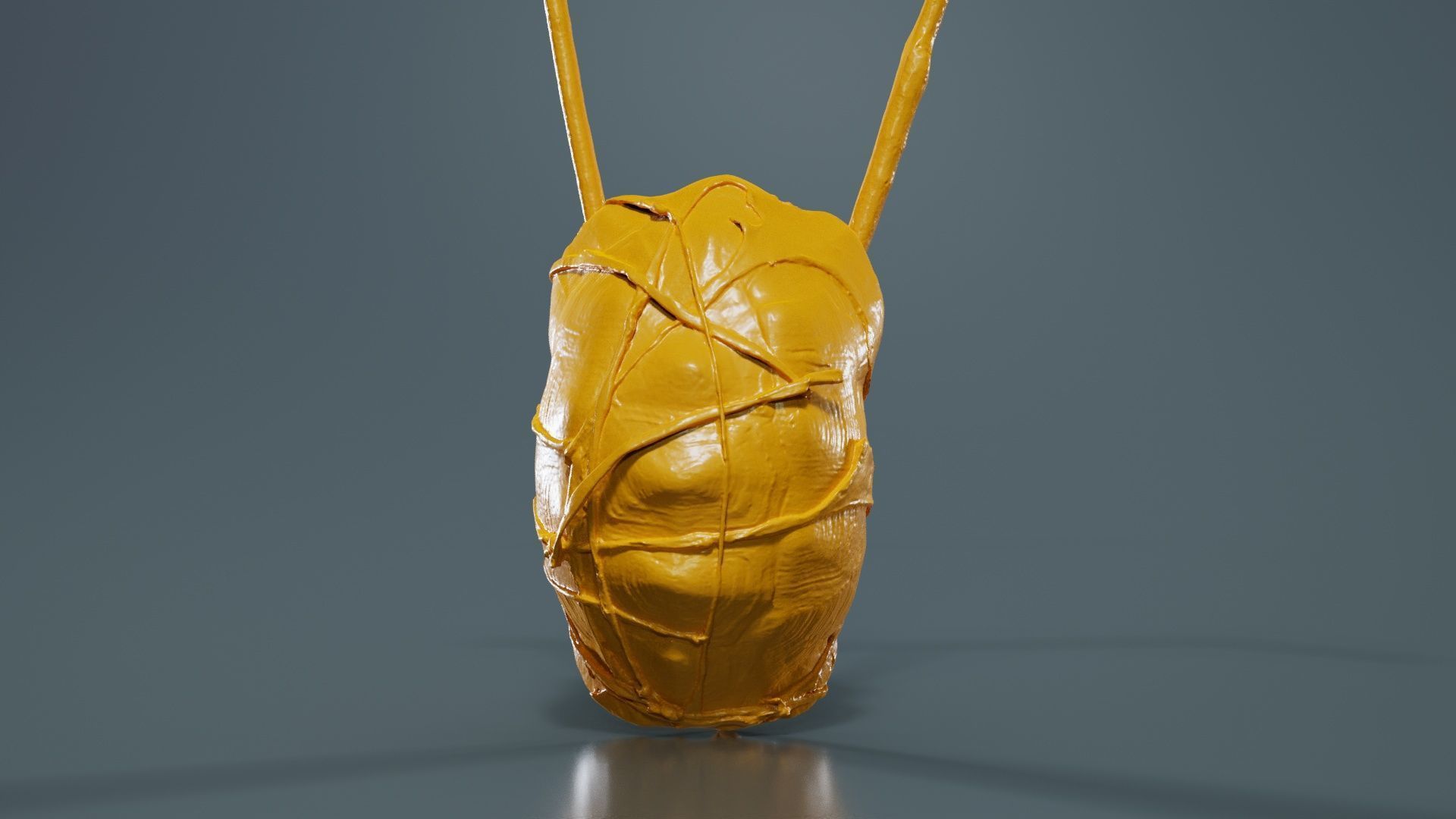 Turtle Guitar Low-poly 3D model_12