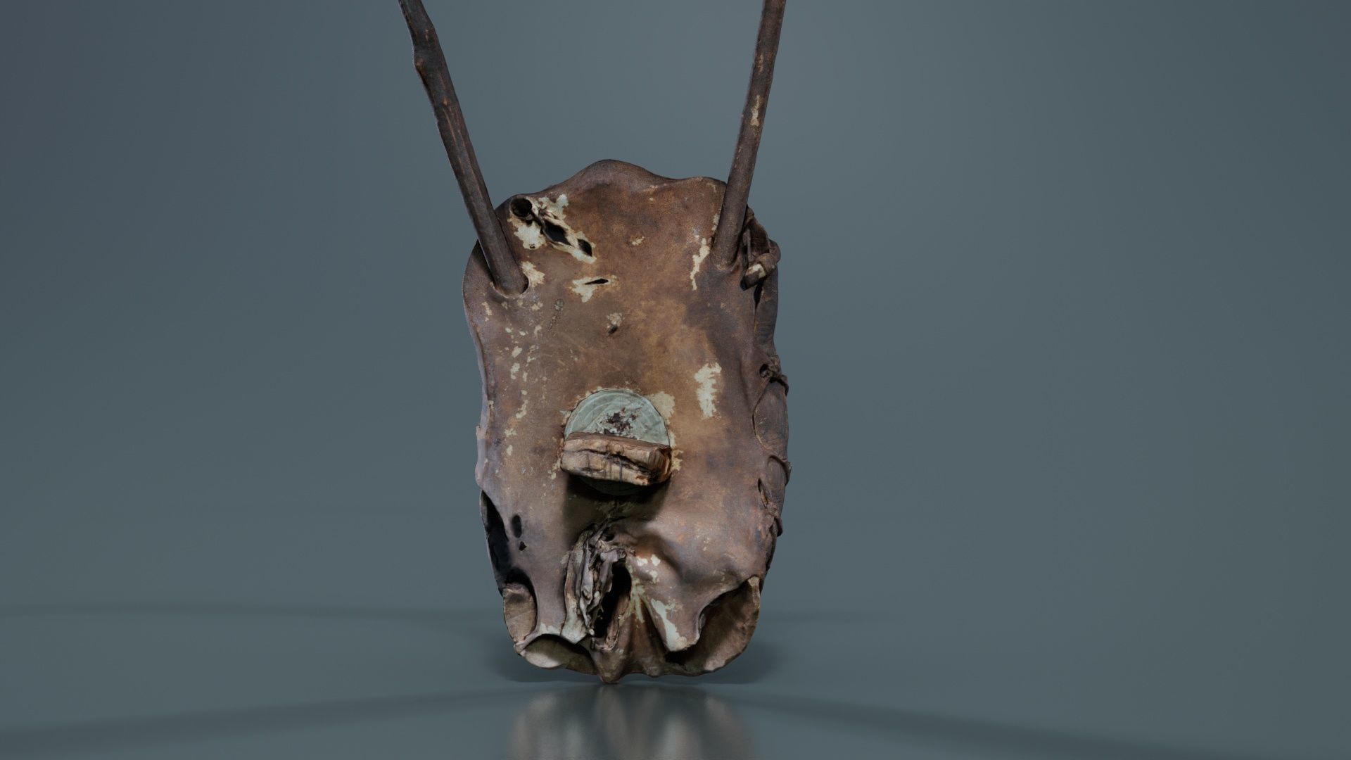 Turtle Guitar Low-poly 3D model_1