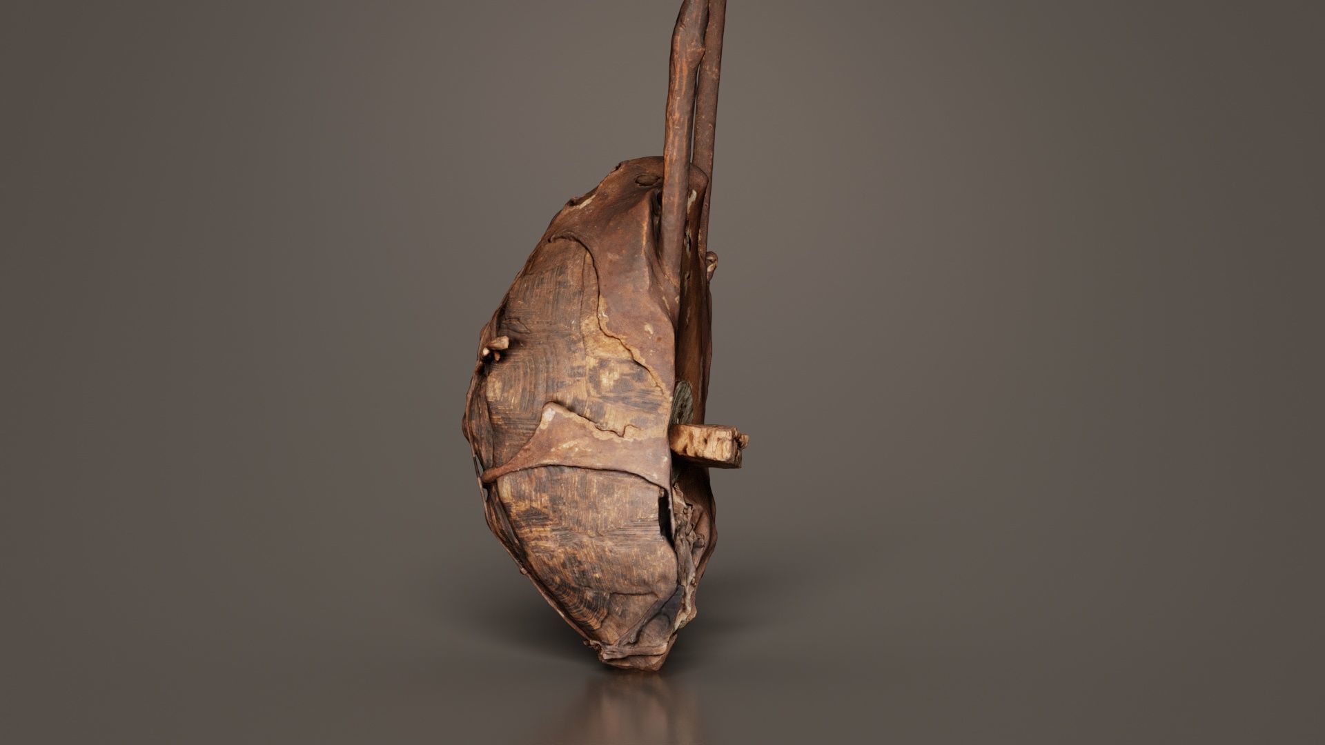 Turtle Guitar Low-poly 3D model_7