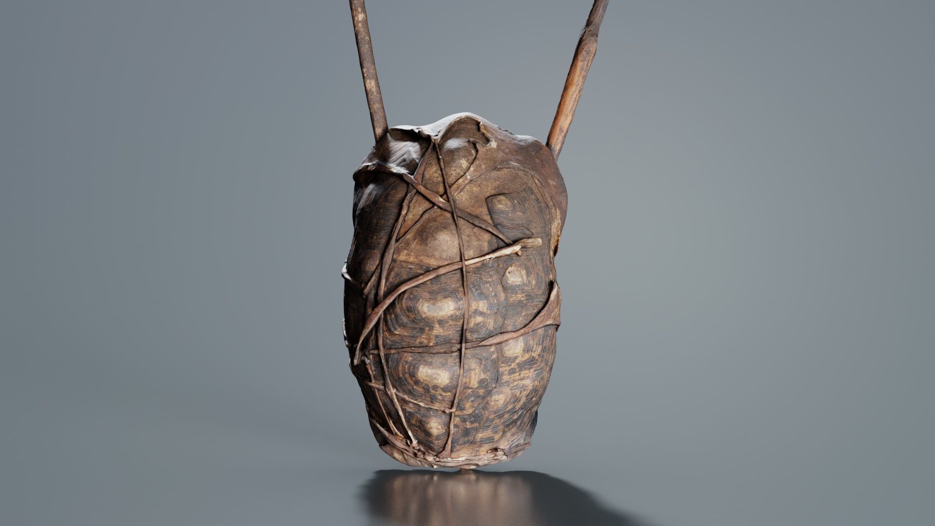 Turtle Guitar Low-poly 3D model_6