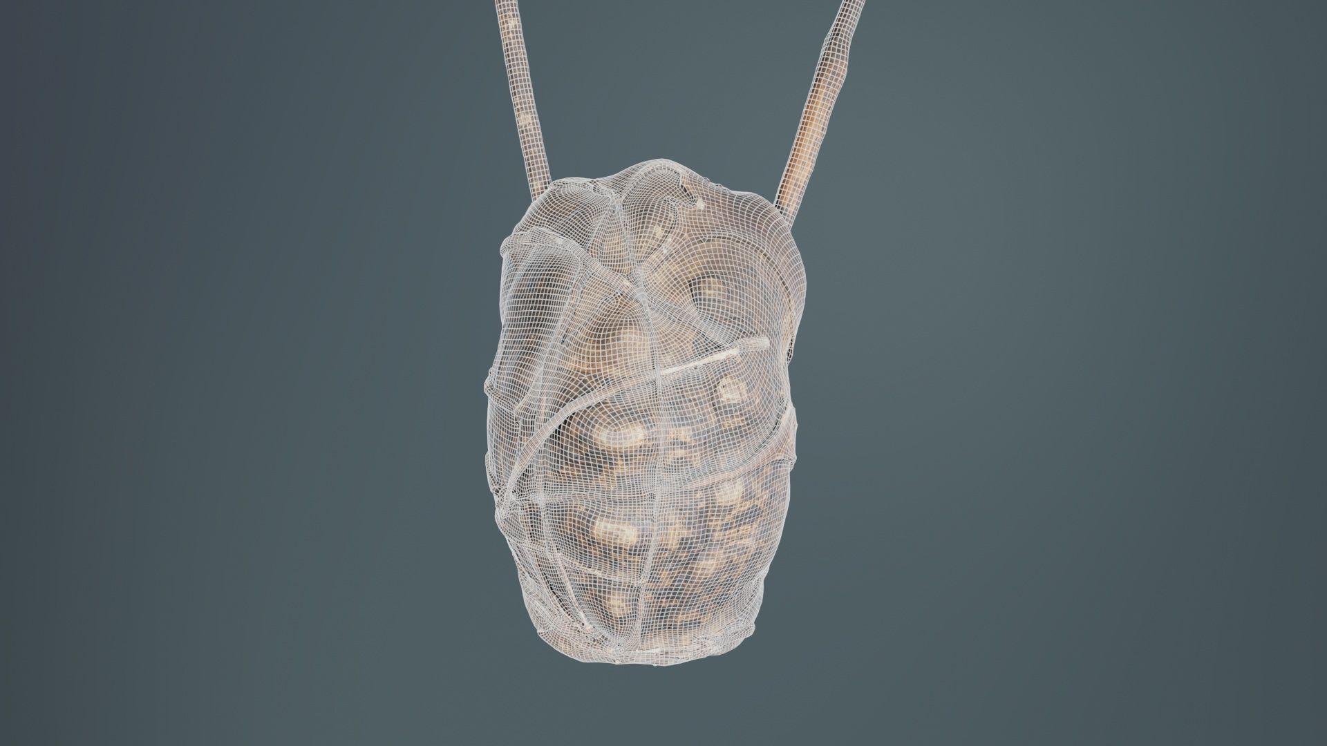 Turtle Guitar Low-poly 3D model_9