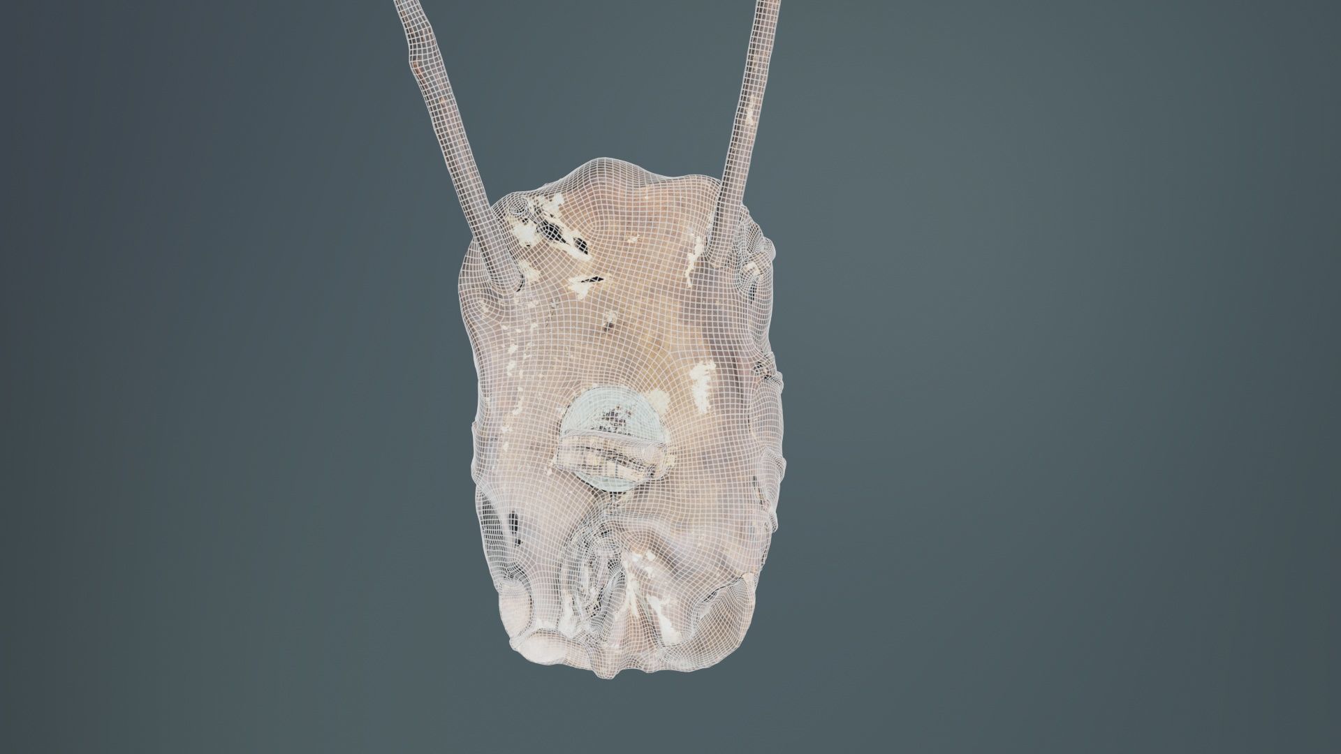 Turtle Guitar Low-poly 3D model_10