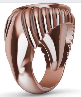 Fisherman Ring  3D print model_21