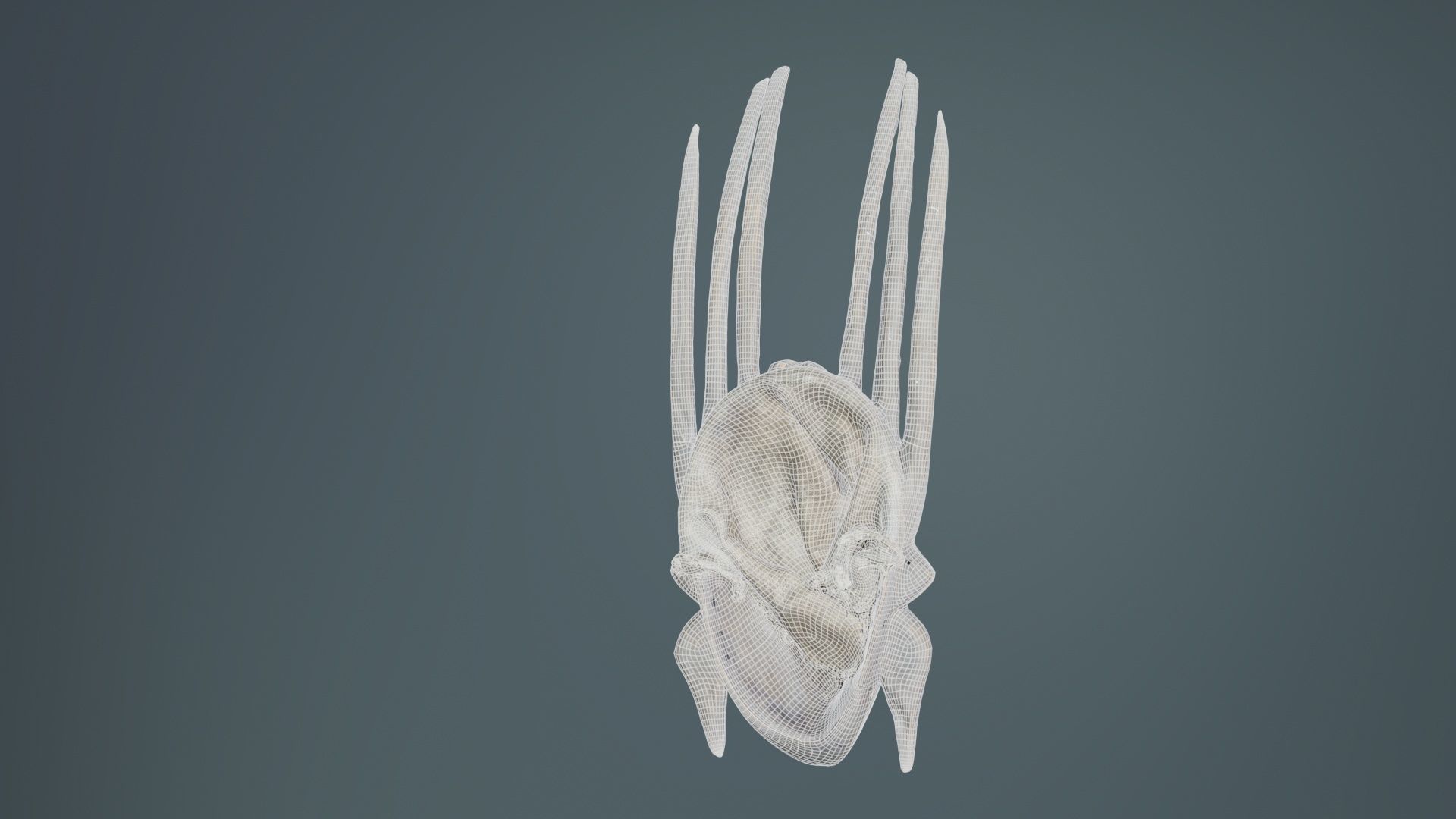 Afrikan Mask Carved Wood 48 Low-poly 3D model_10