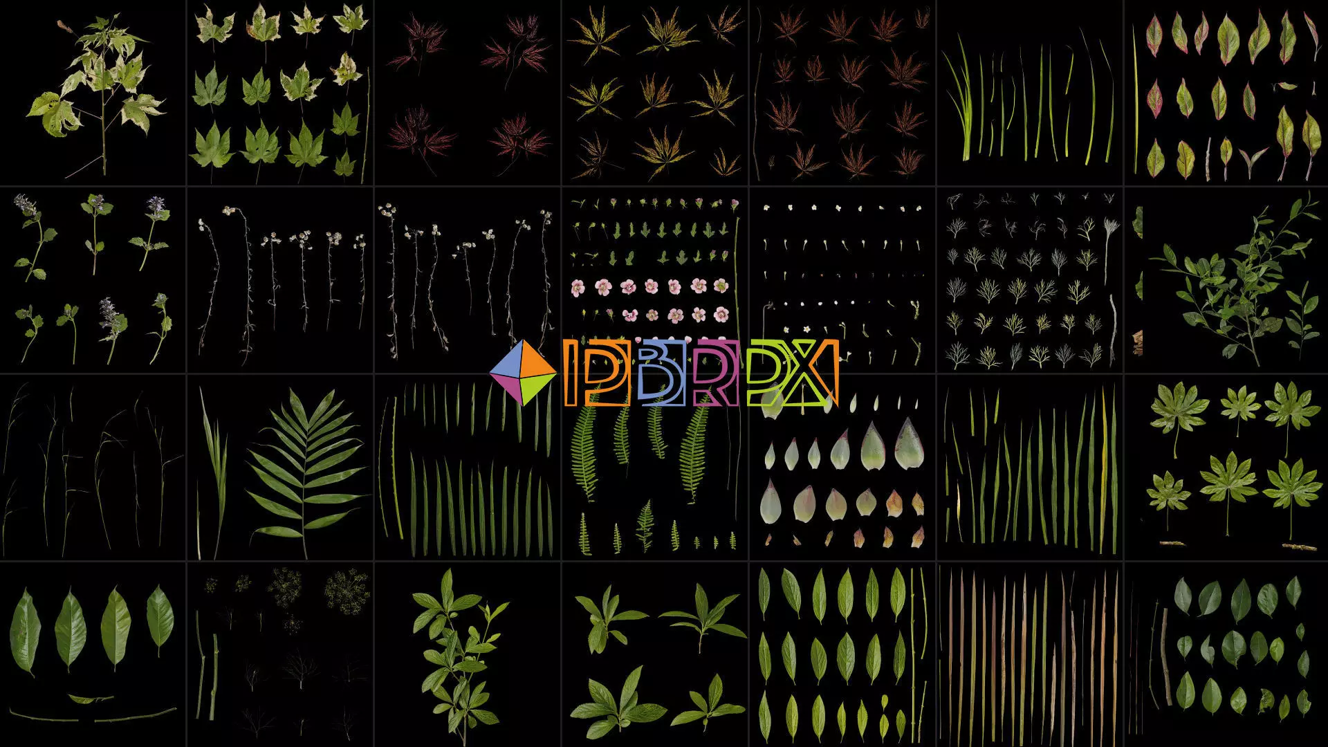 Pbrpx Atlas package 3D model_0