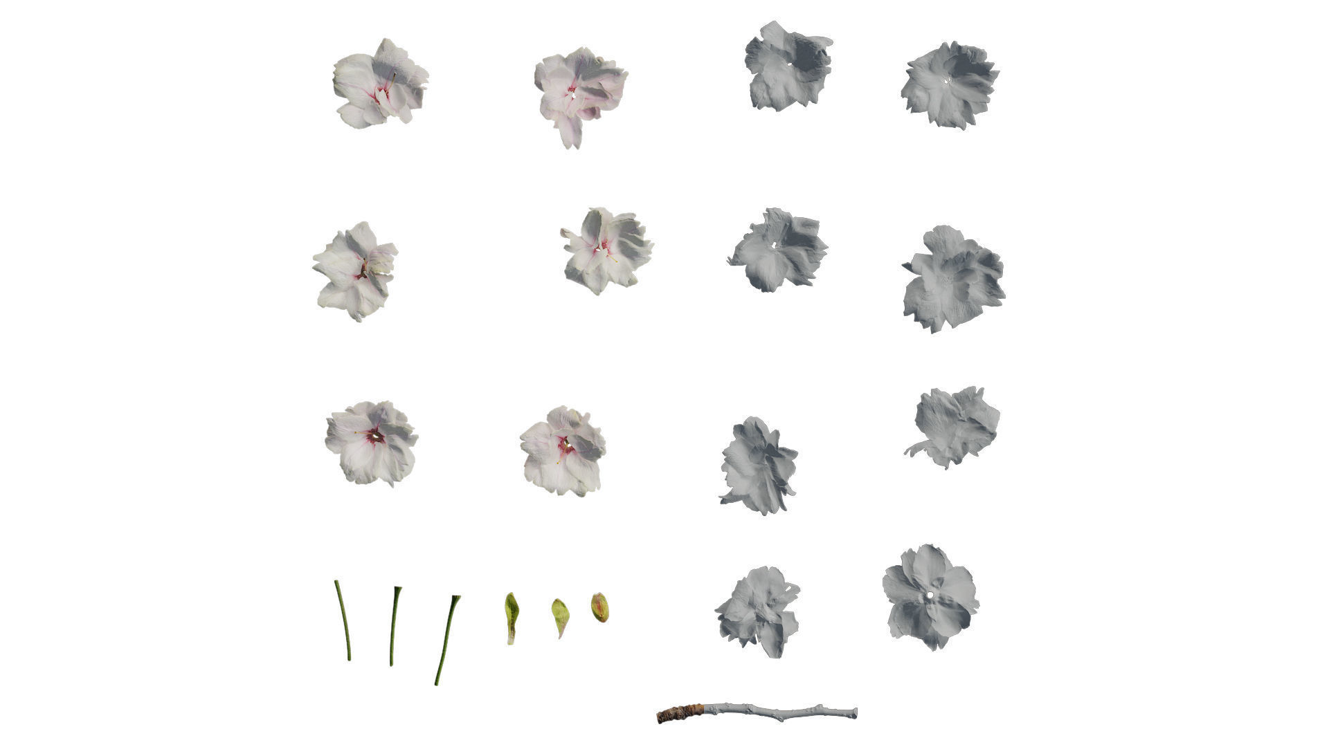 Pbrpx Atlas package 3D model_10