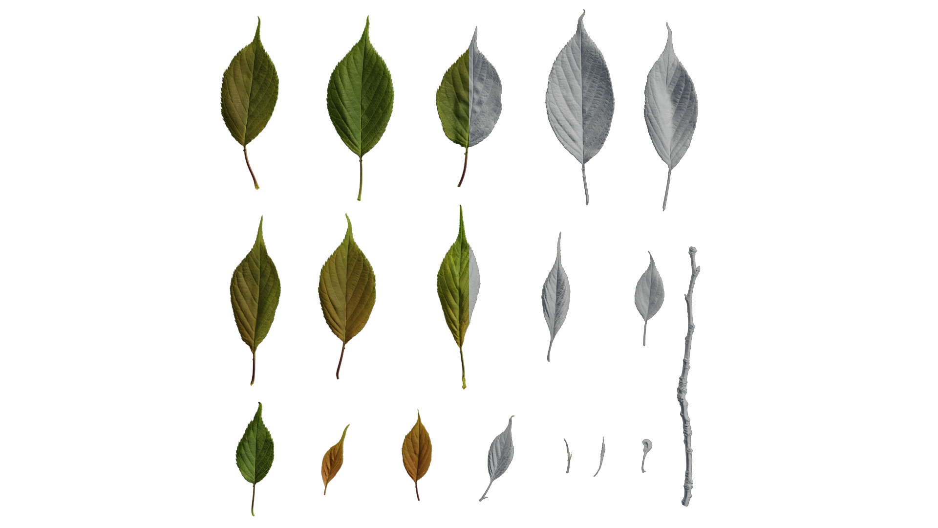 Pbrpx Atlas package 3D model_11