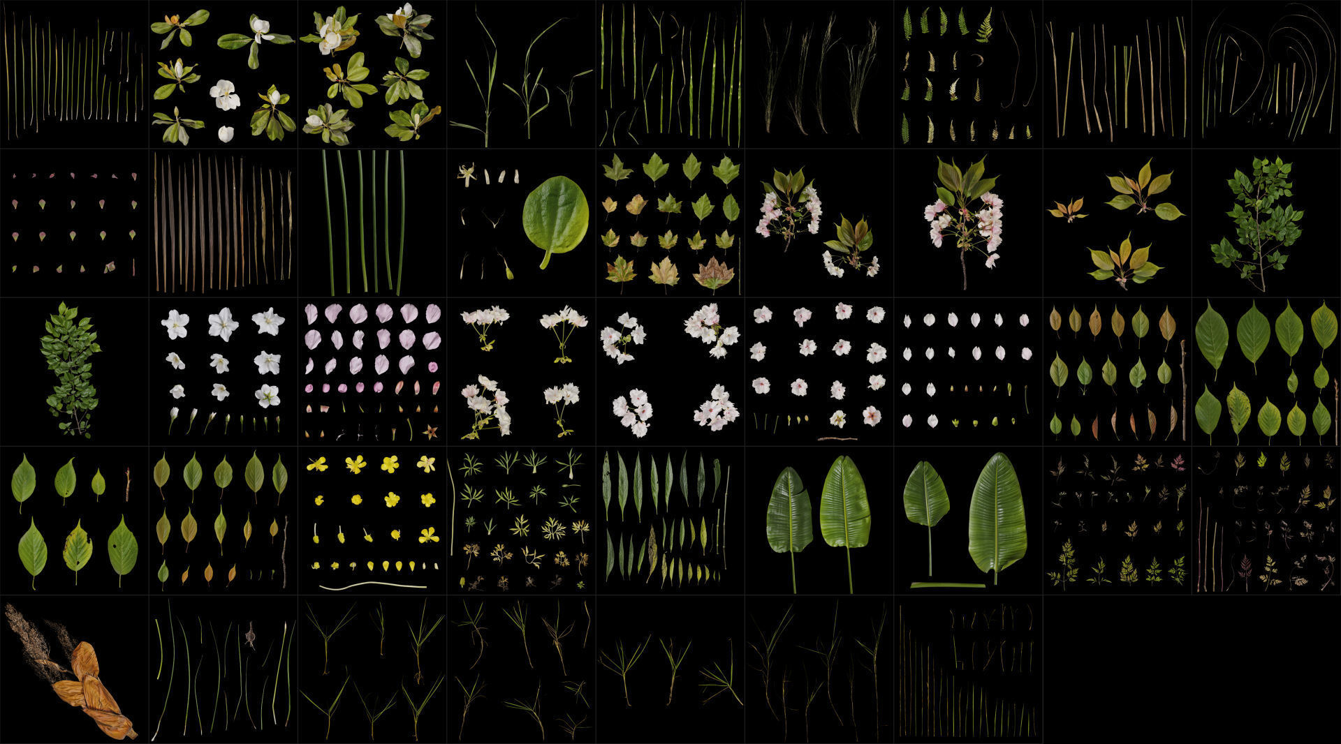 Pbrpx Atlas package 3D model_4