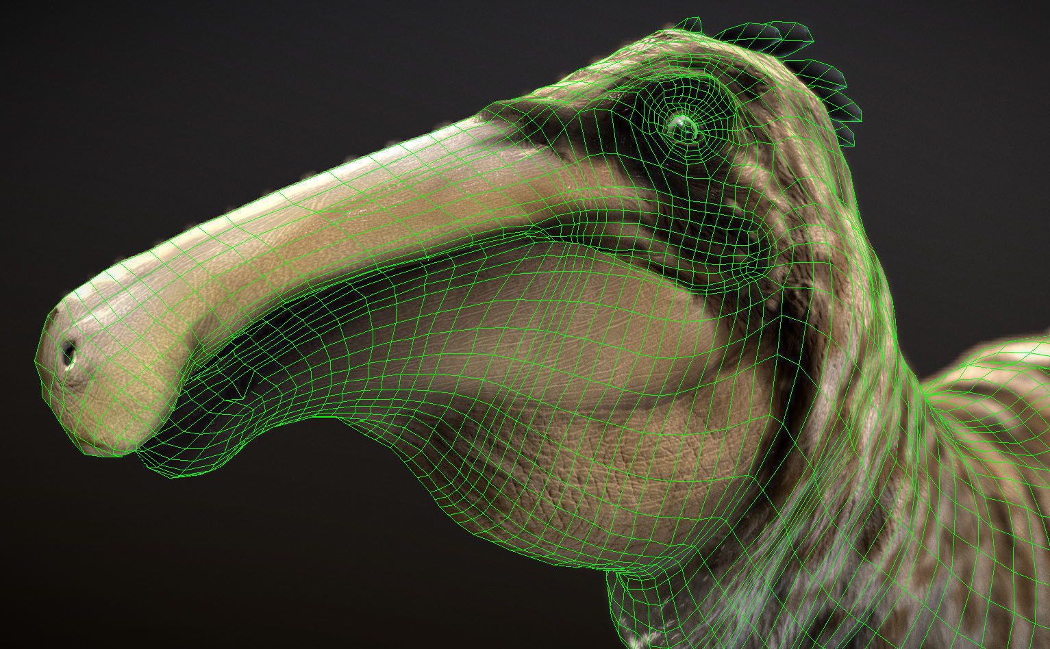 Deinocheirus Low-poly 3D model_1
