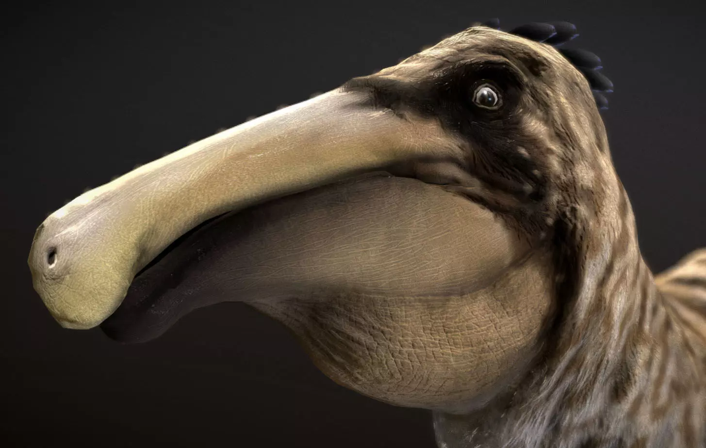 Deinocheirus Low-poly 3D model_0