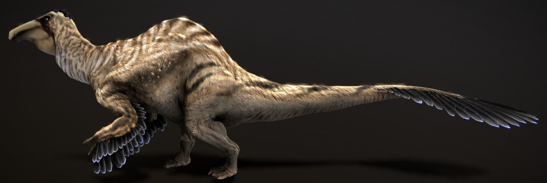 Deinocheirus Low-poly 3D model_7