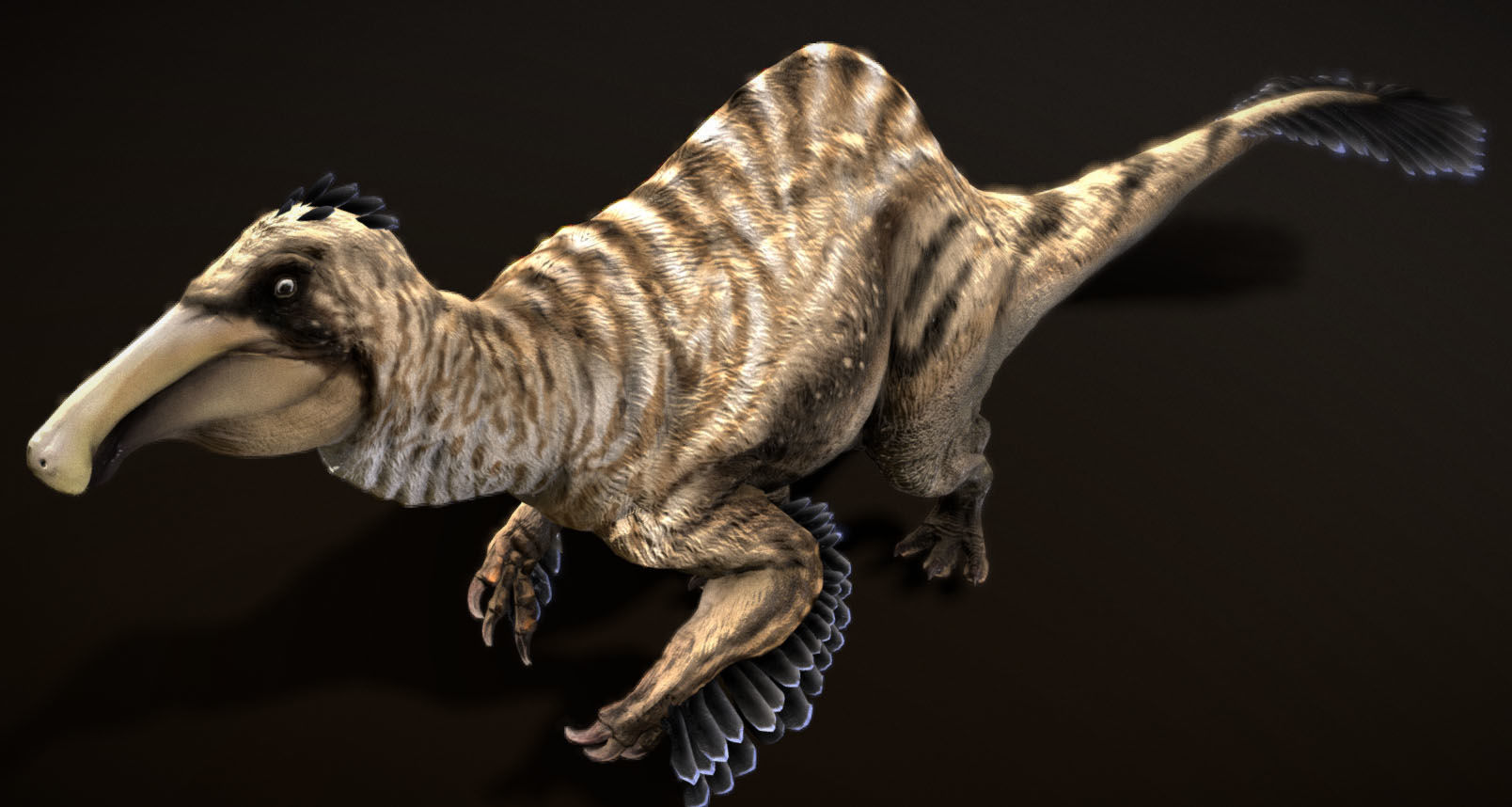 Deinocheirus Low-poly 3D model_9
