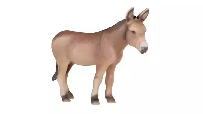 Donkey Low-poly 3D model