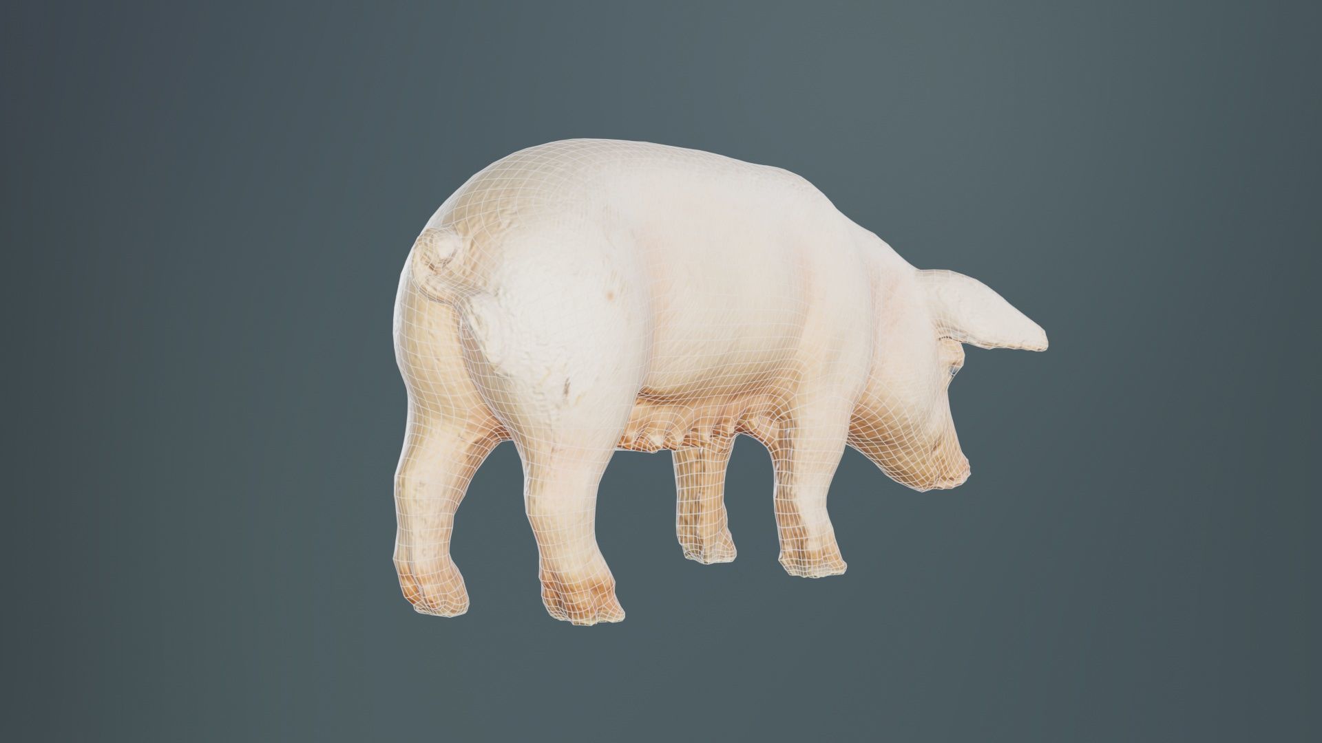 Pig Low-poly 3D model_10
