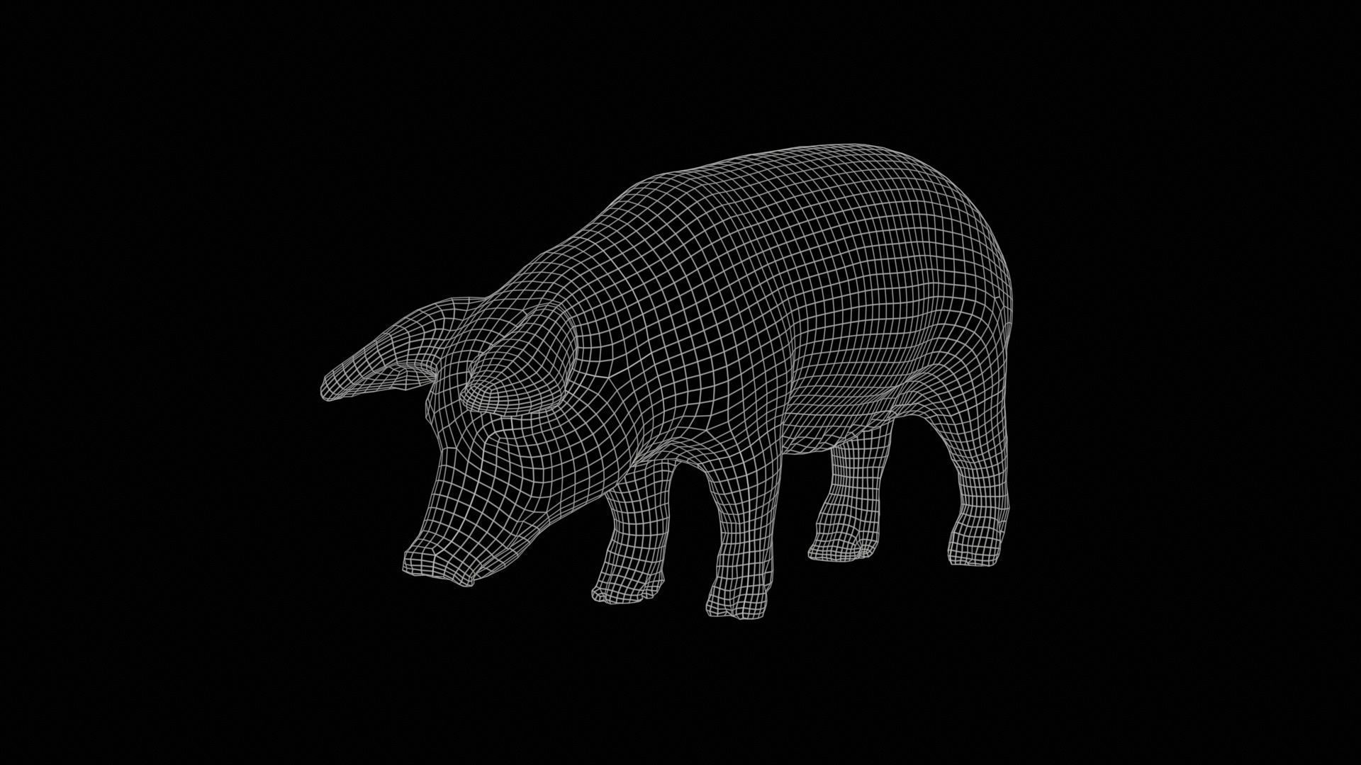 Pig Low-poly 3D model_11