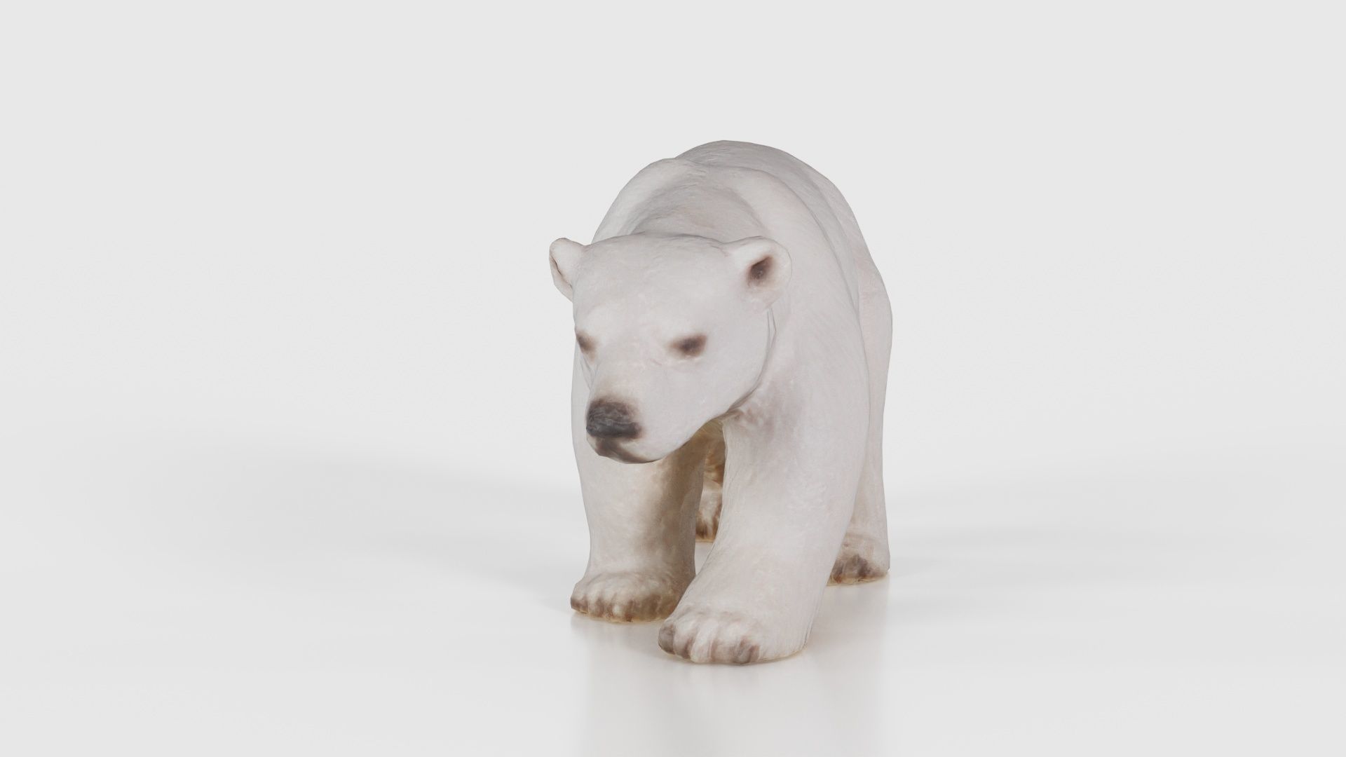 Polar Bear Low-poly 3D model_16