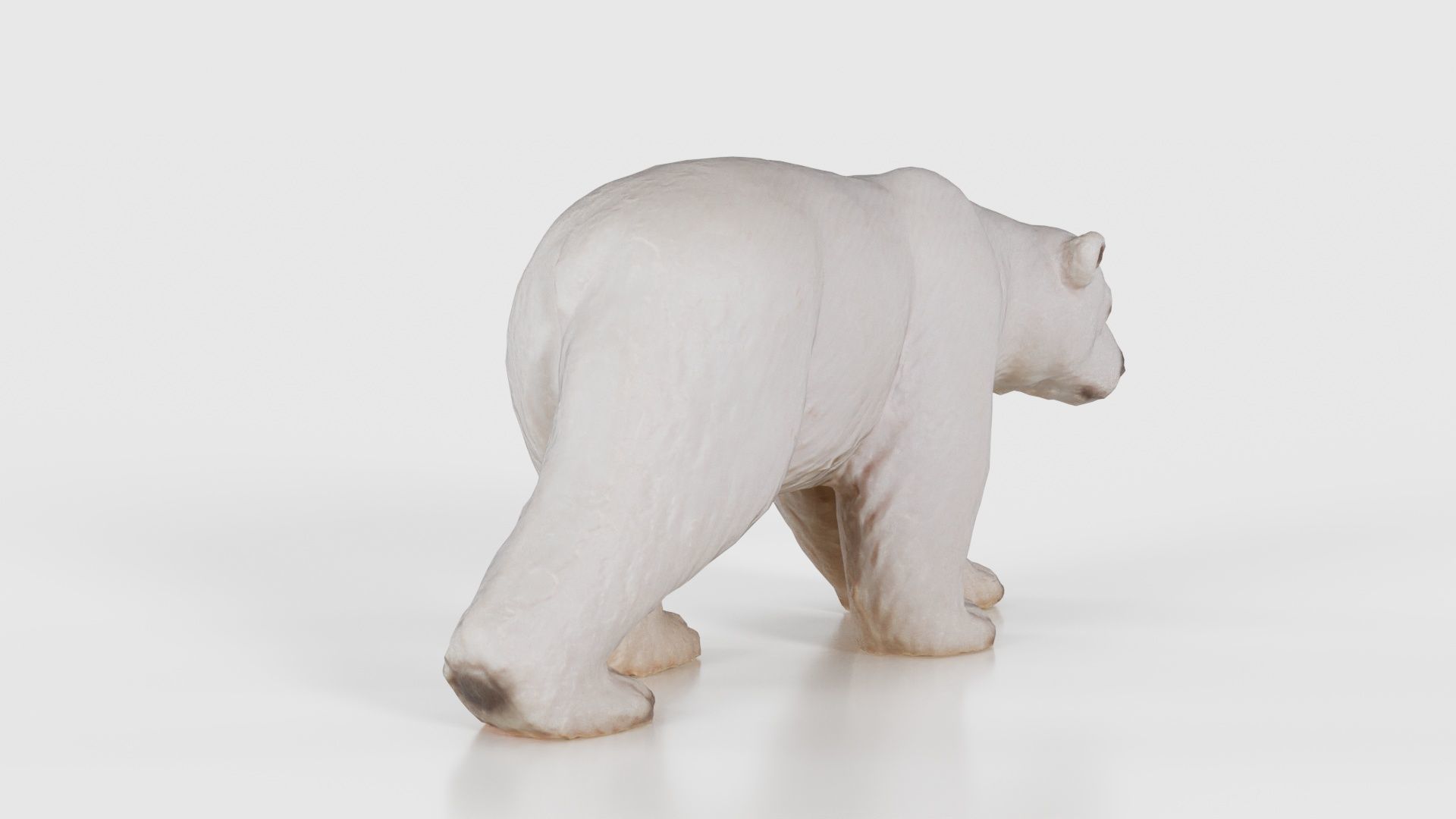 Polar Bear Low-poly 3D model_21