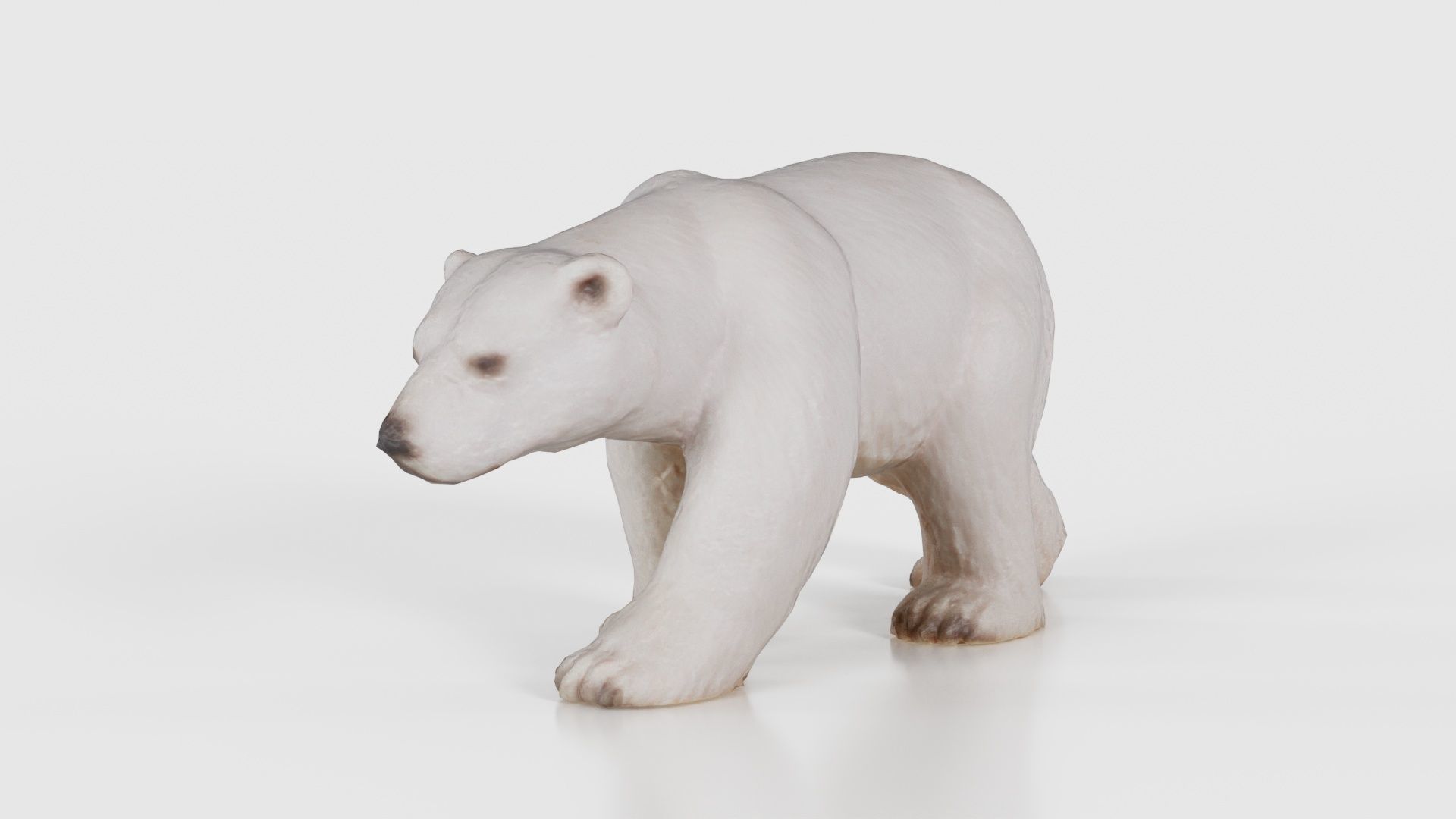 Polar Bear Low-poly 3D model_15