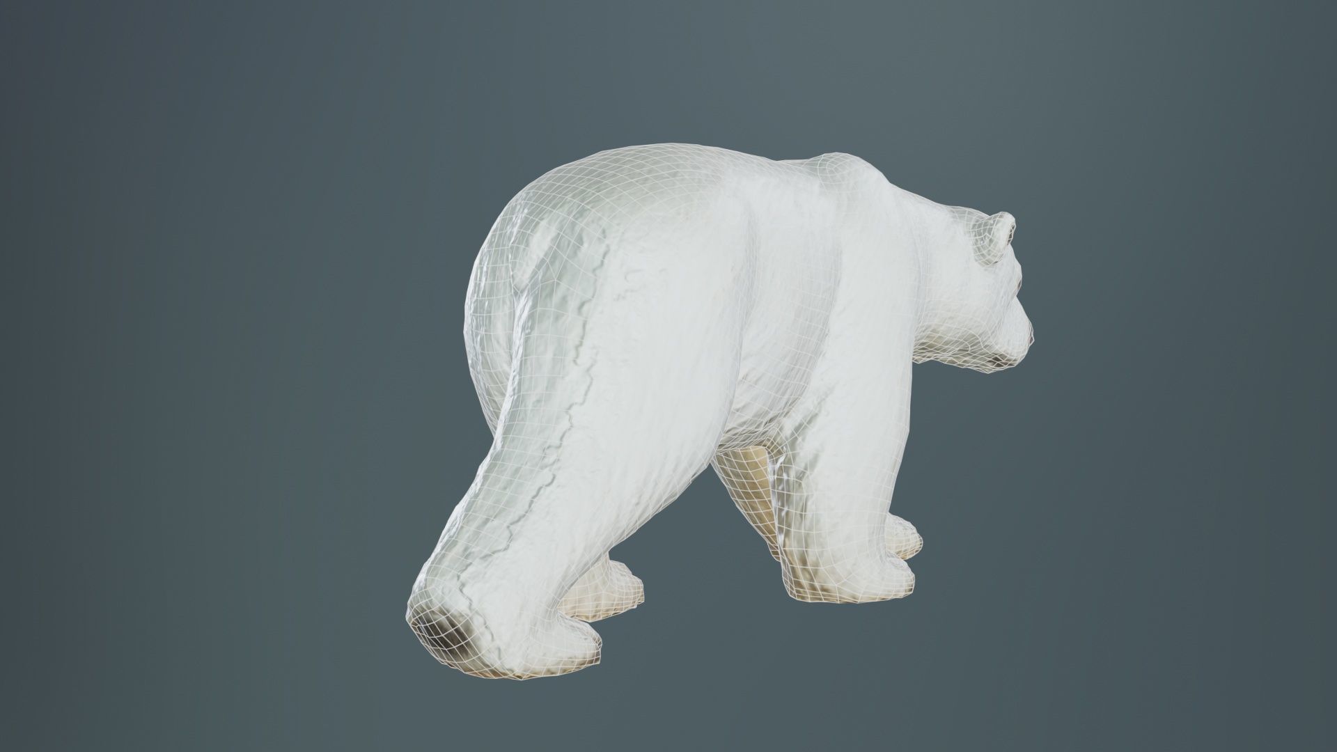 Polar Bear Low-poly 3D model_10