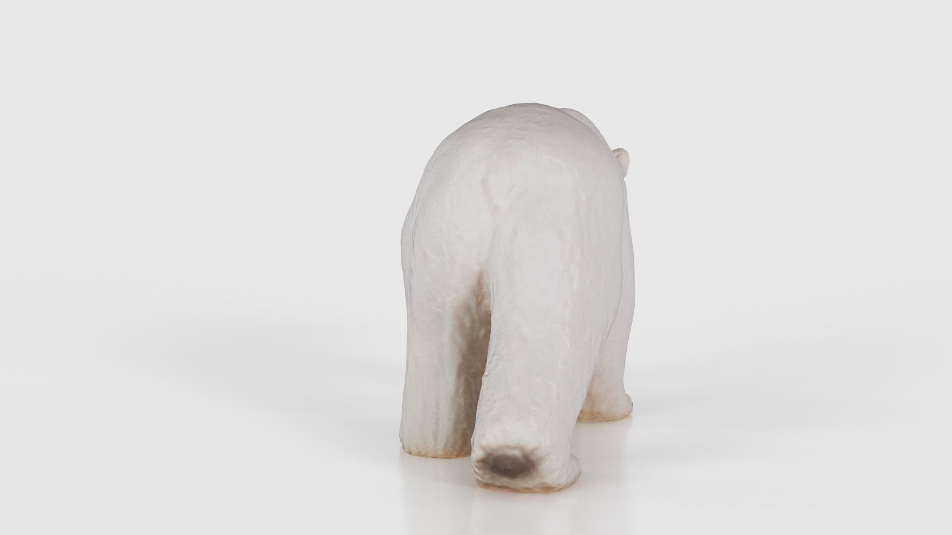 Polar Bear Low-poly 3D model_22