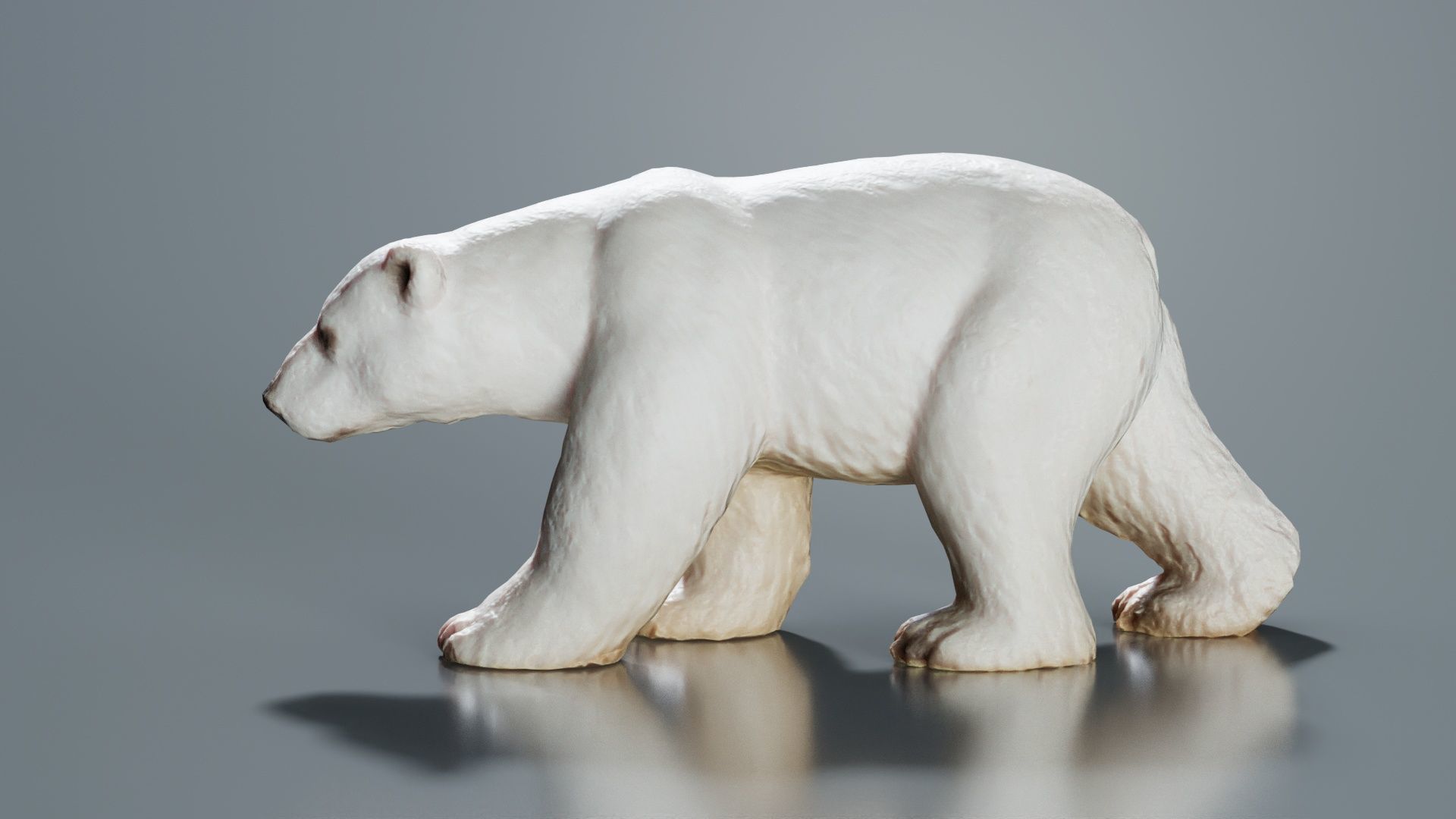 Polar Bear Low-poly 3D model_6