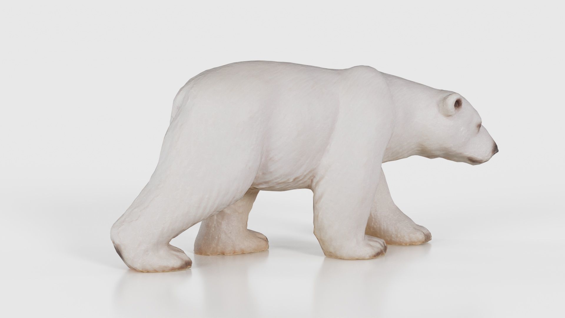 Polar Bear Low-poly 3D model_20