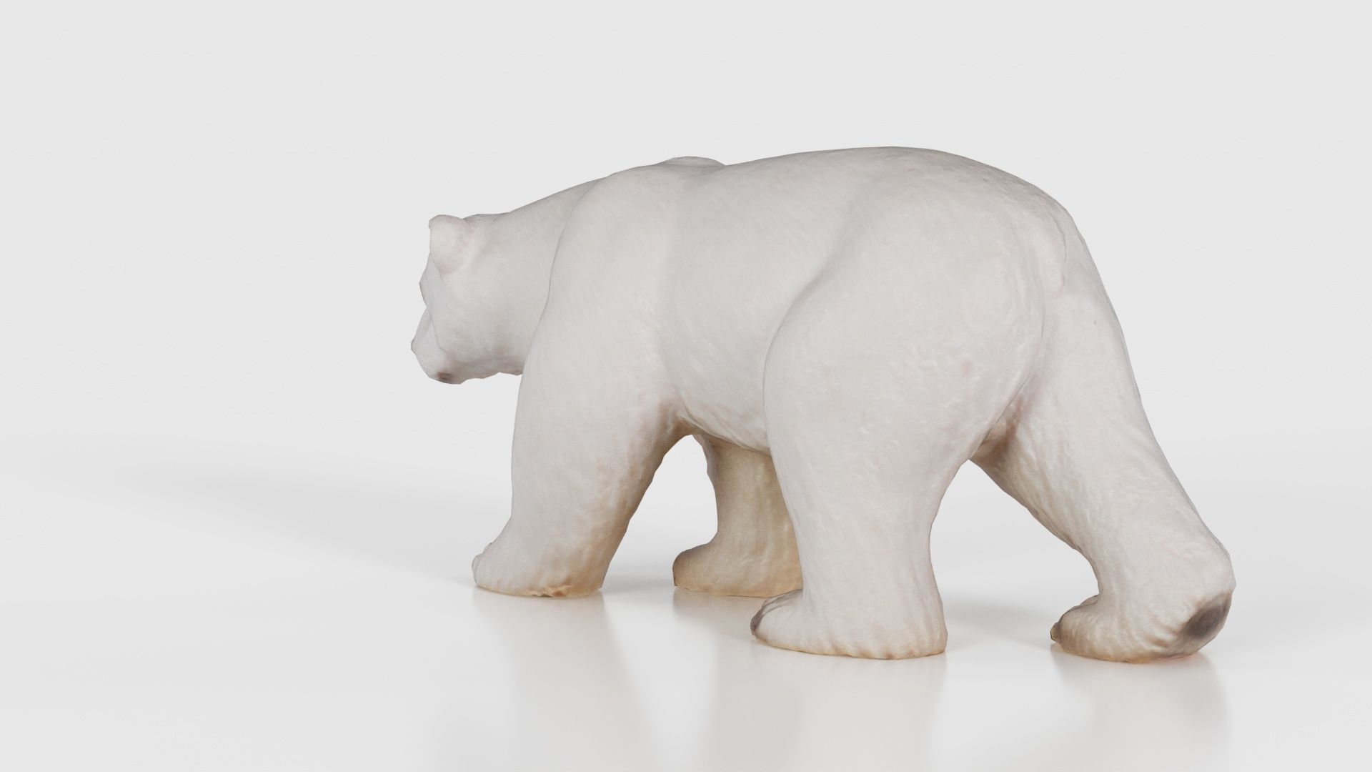 Polar Bear Low-poly 3D model_24
