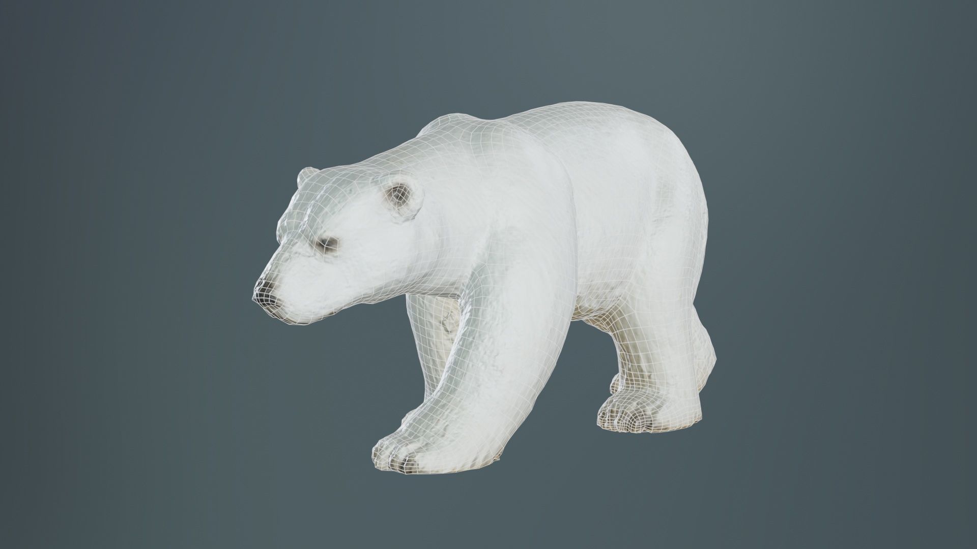 Polar Bear Low-poly 3D model_9