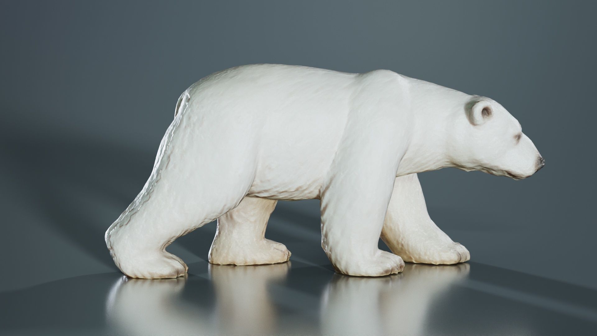 Polar Bear Low-poly 3D model_5