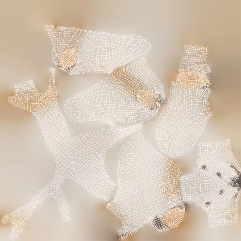 Polar Bear Low-poly 3D model_14