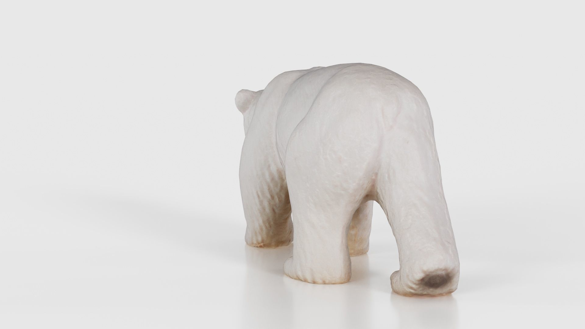 Polar Bear Low-poly 3D model_23