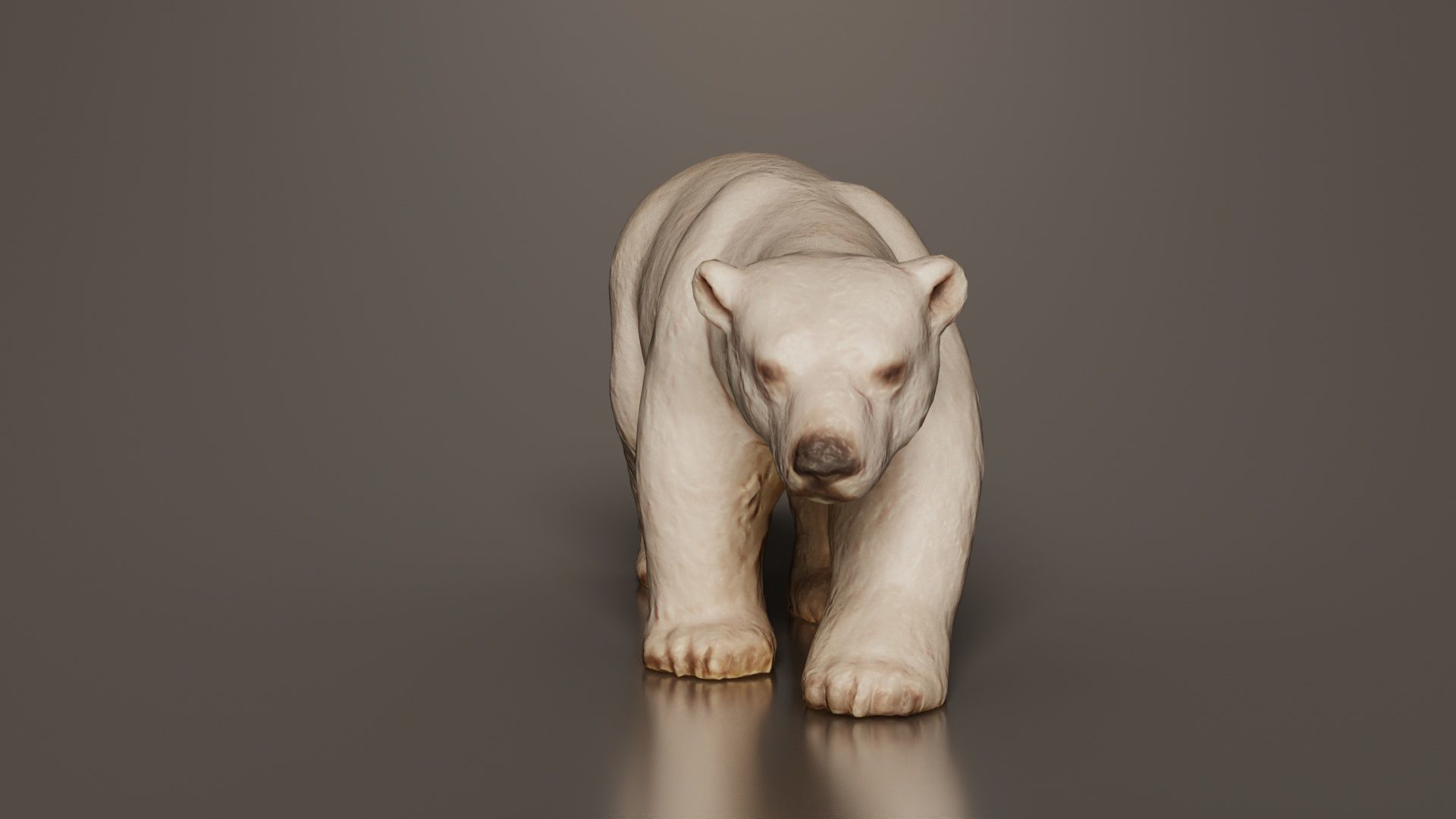 Polar Bear Low-poly 3D model_8