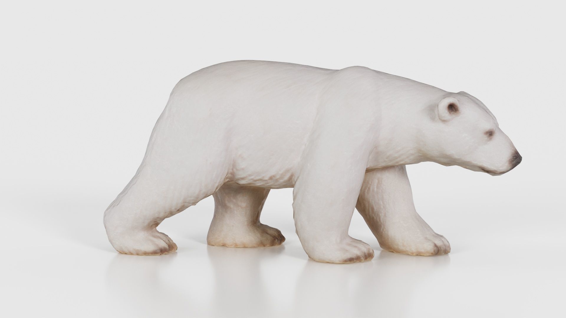 Polar Bear Low-poly 3D model_19