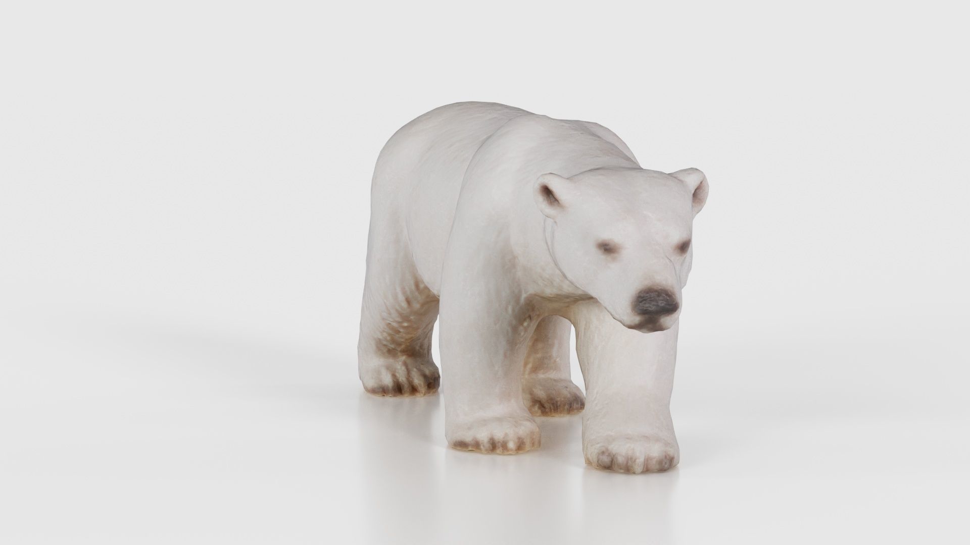 Polar Bear Low-poly 3D model_17