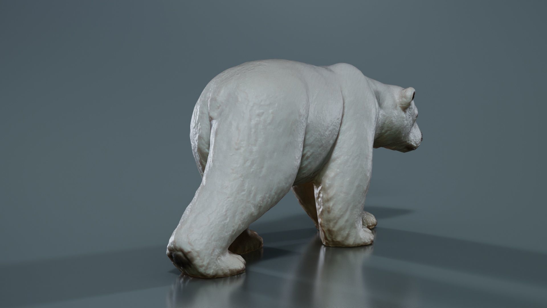 Polar Bear Low-poly 3D model_7