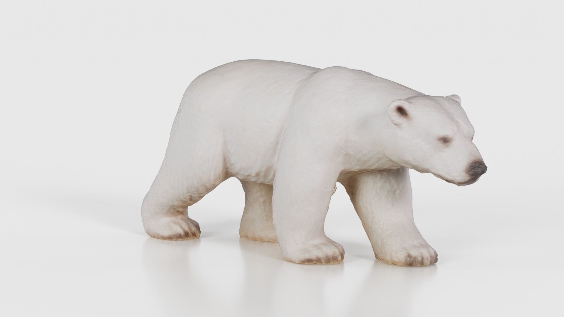 Polar Bear Low-poly 3D model_18