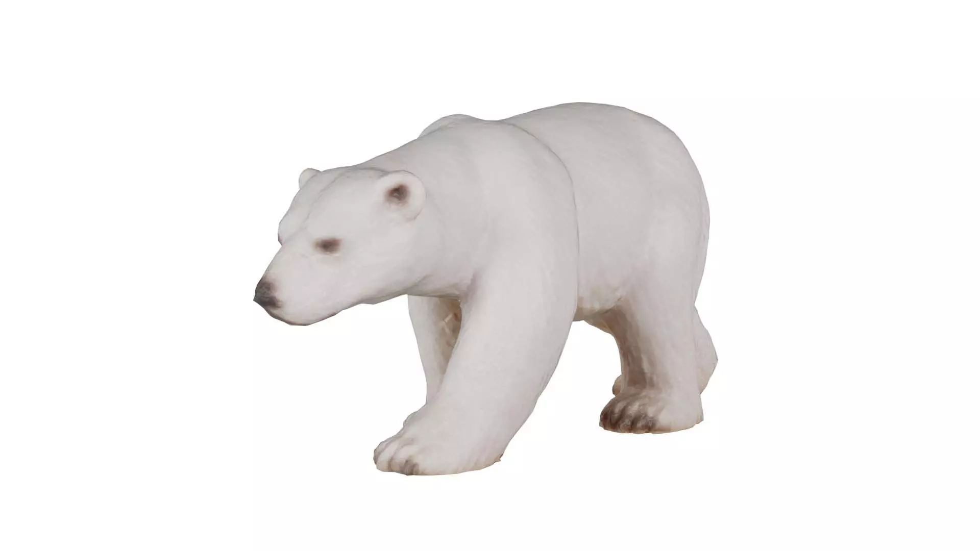Polar Bear Low-poly 3D model_0