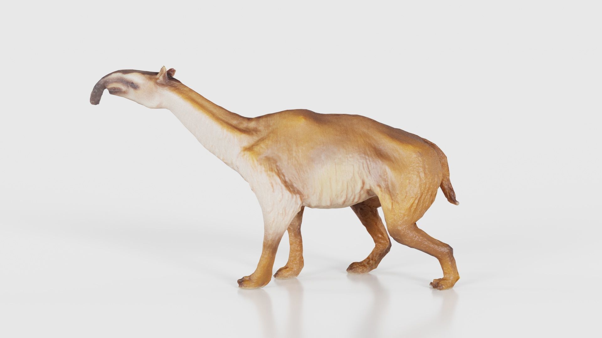 Prehistoric Low-poly 3D model_22