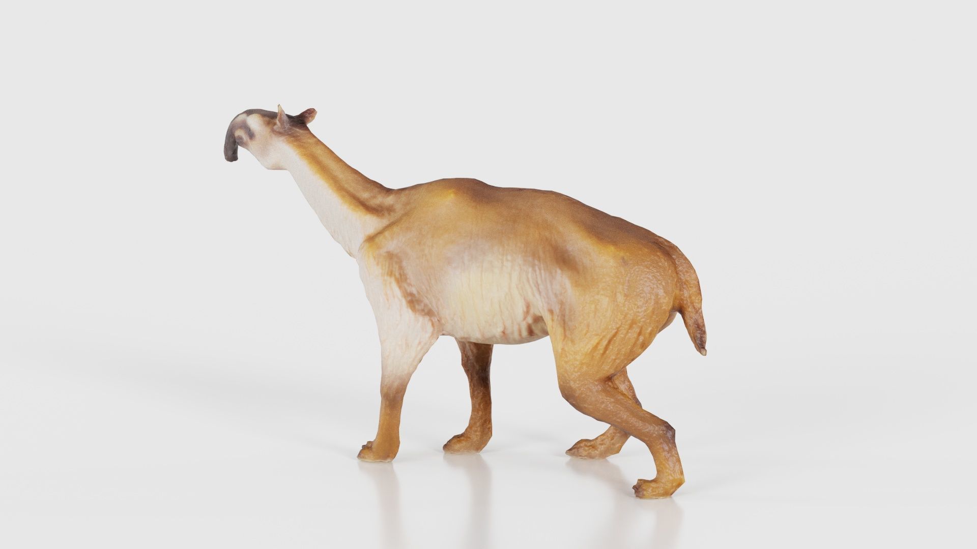 Prehistoric Low-poly 3D model_21