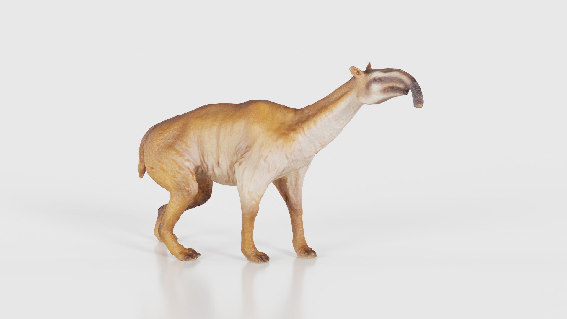 Prehistoric Low-poly 3D model_15