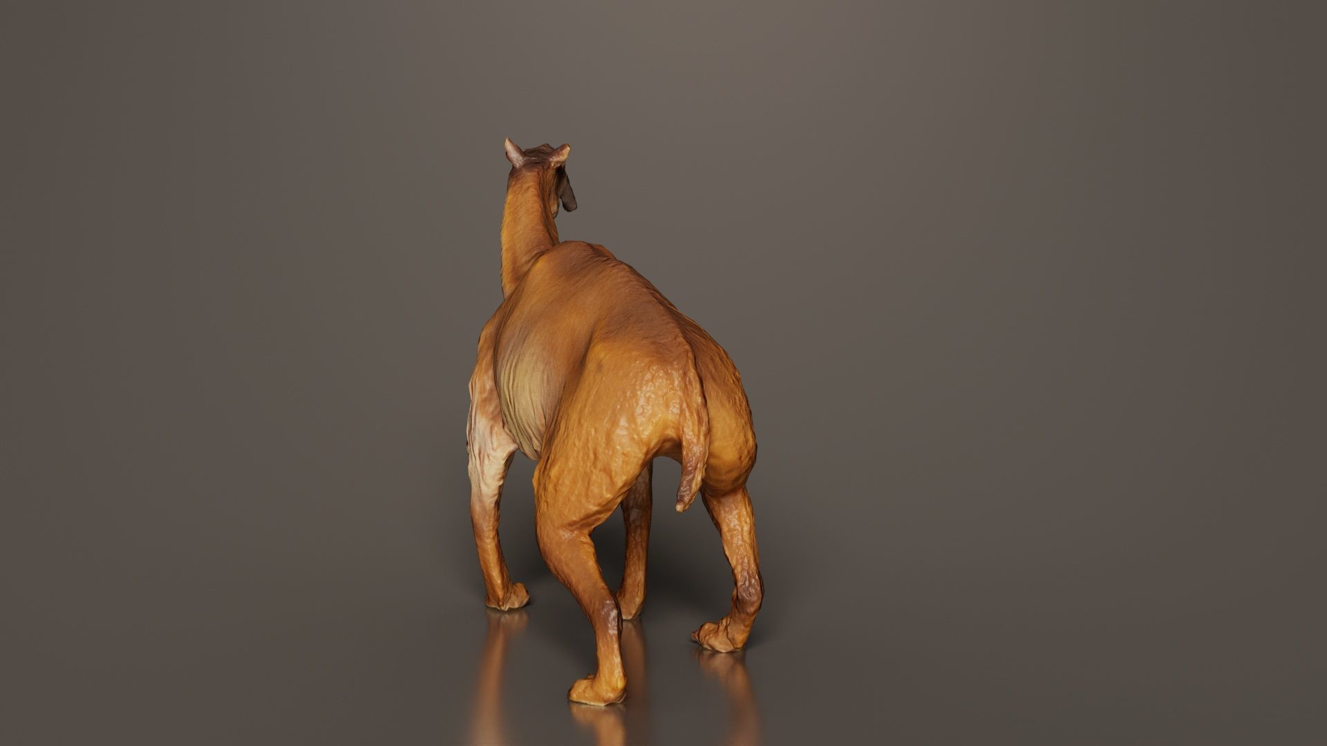 Prehistoric Low-poly 3D model_4