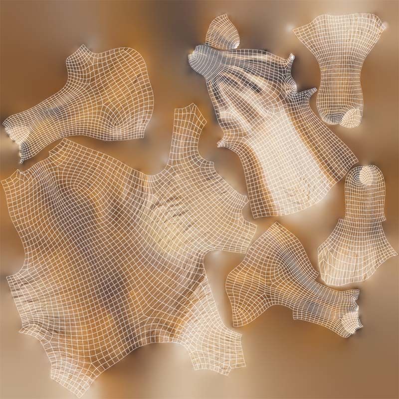 Prehistoric Low-poly 3D model_14