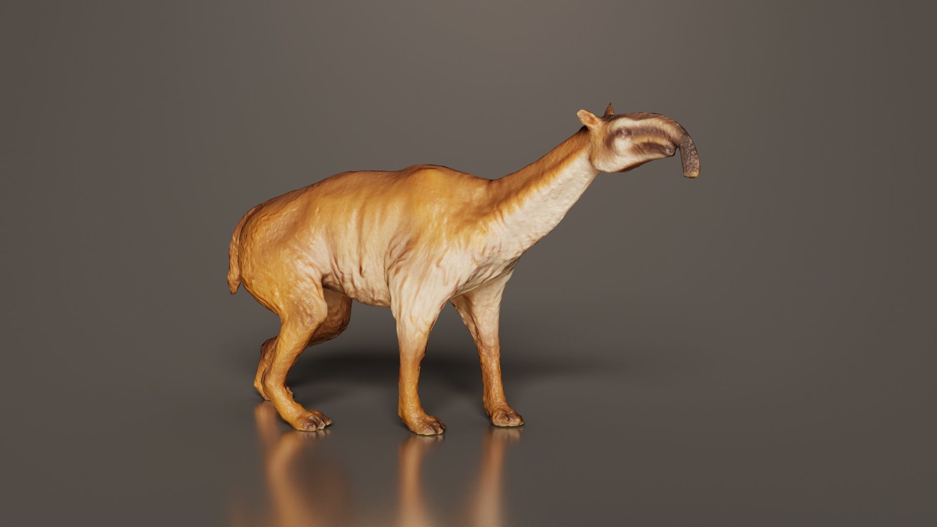 Prehistoric Low-poly 3D model_1