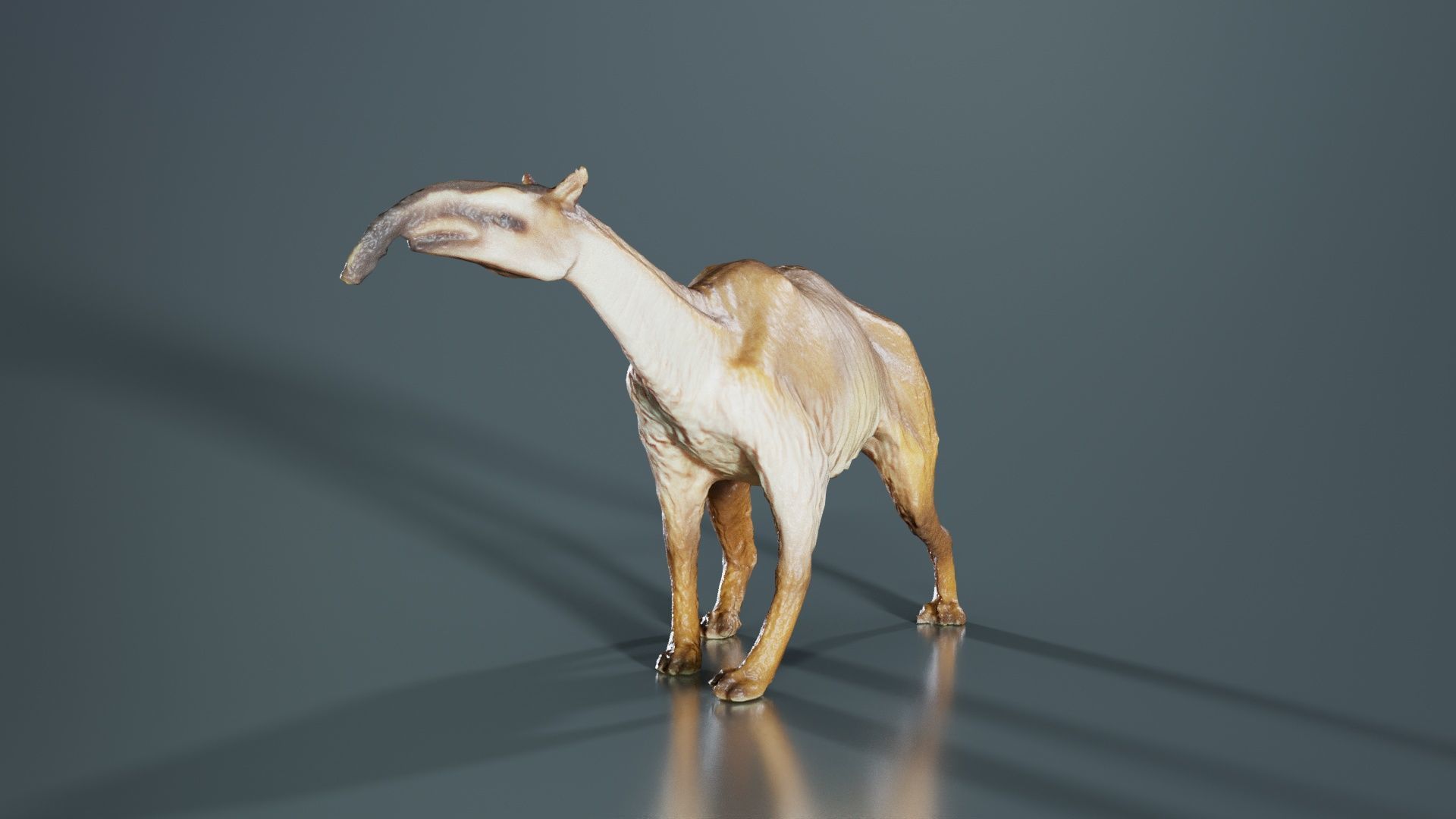 Prehistoric Low-poly 3D model_5