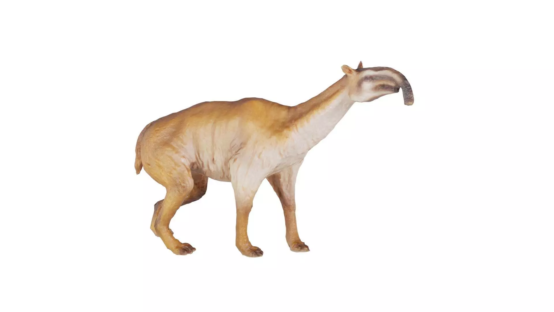 Prehistoric Low-poly 3D model_0