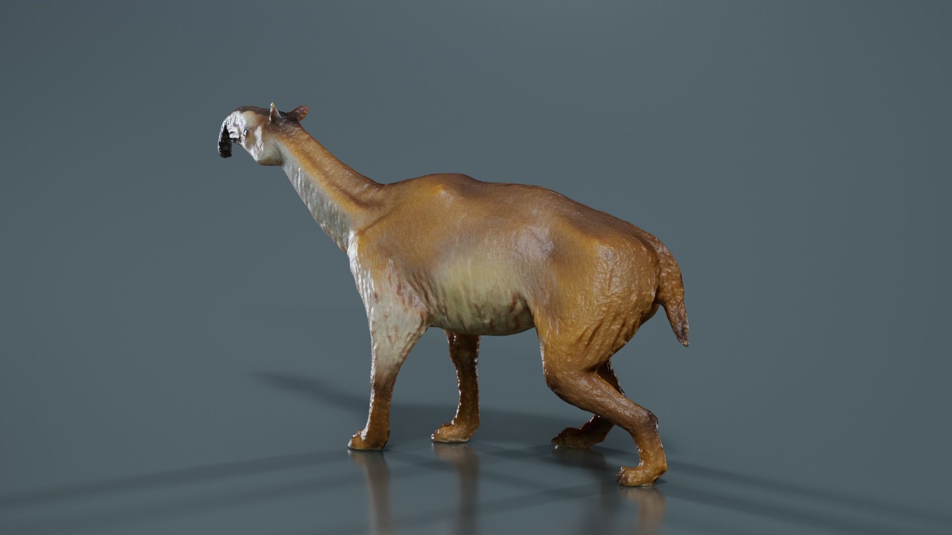 Prehistoric Low-poly 3D model_8